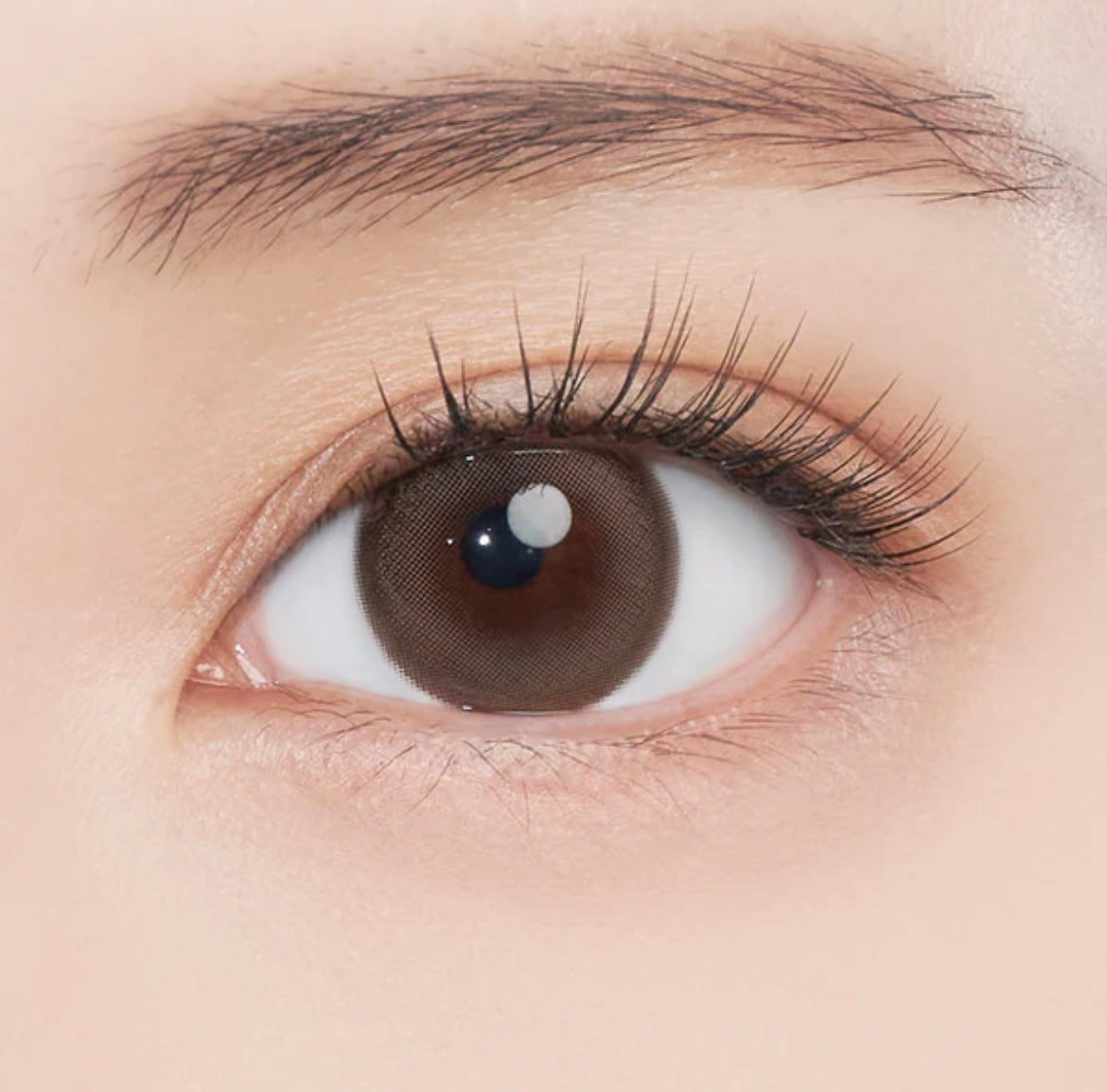 Gemhour Freyja 1 day 日拋 10p mood brown