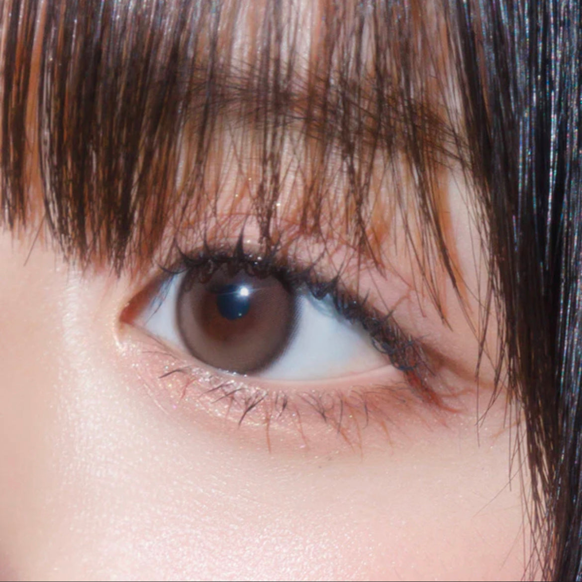 Gemhour hecate 1 day 日拋 10p sand brown