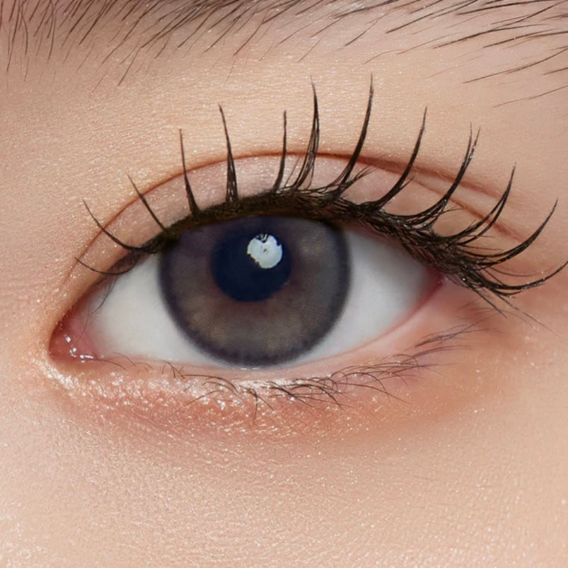 Mimundo Susurro 1 day 日拋 10p Dutch Gray