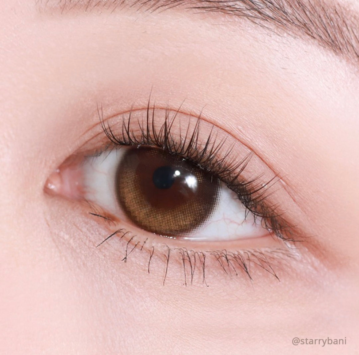 Olens Eyelighter Glowy 1 day 日拋 20p Brown