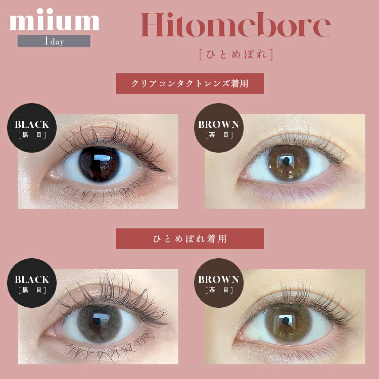 Miium 1 day 日拋 10p Hitomebore