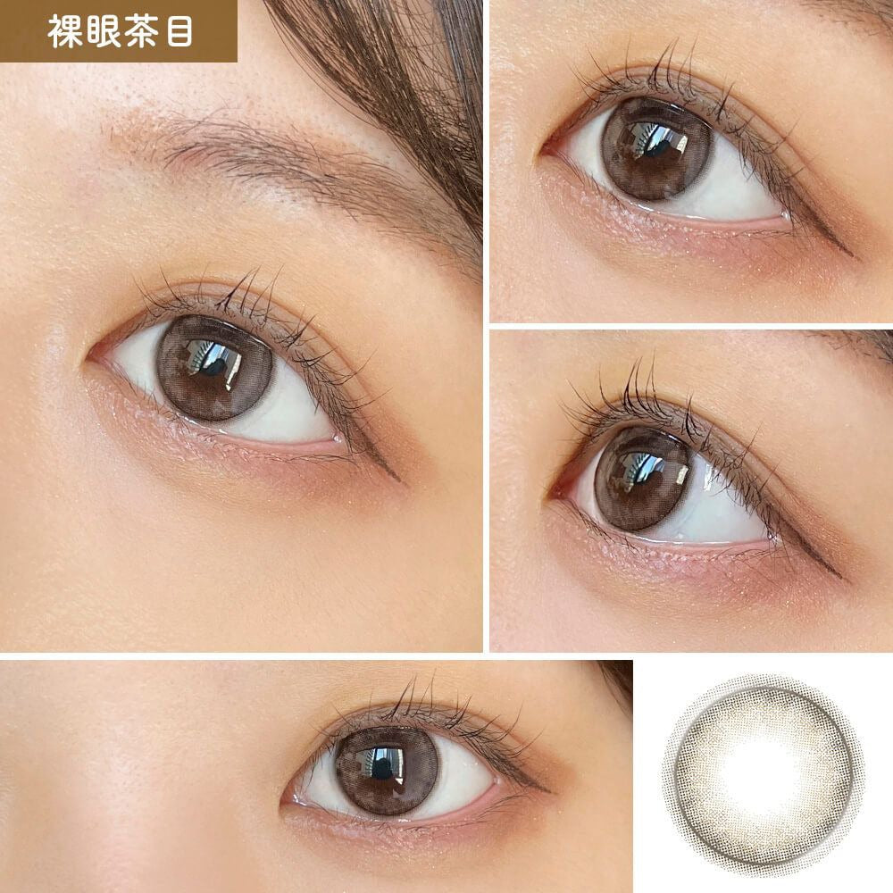 Miium 1 day 日拋 10p Shell Raeeo