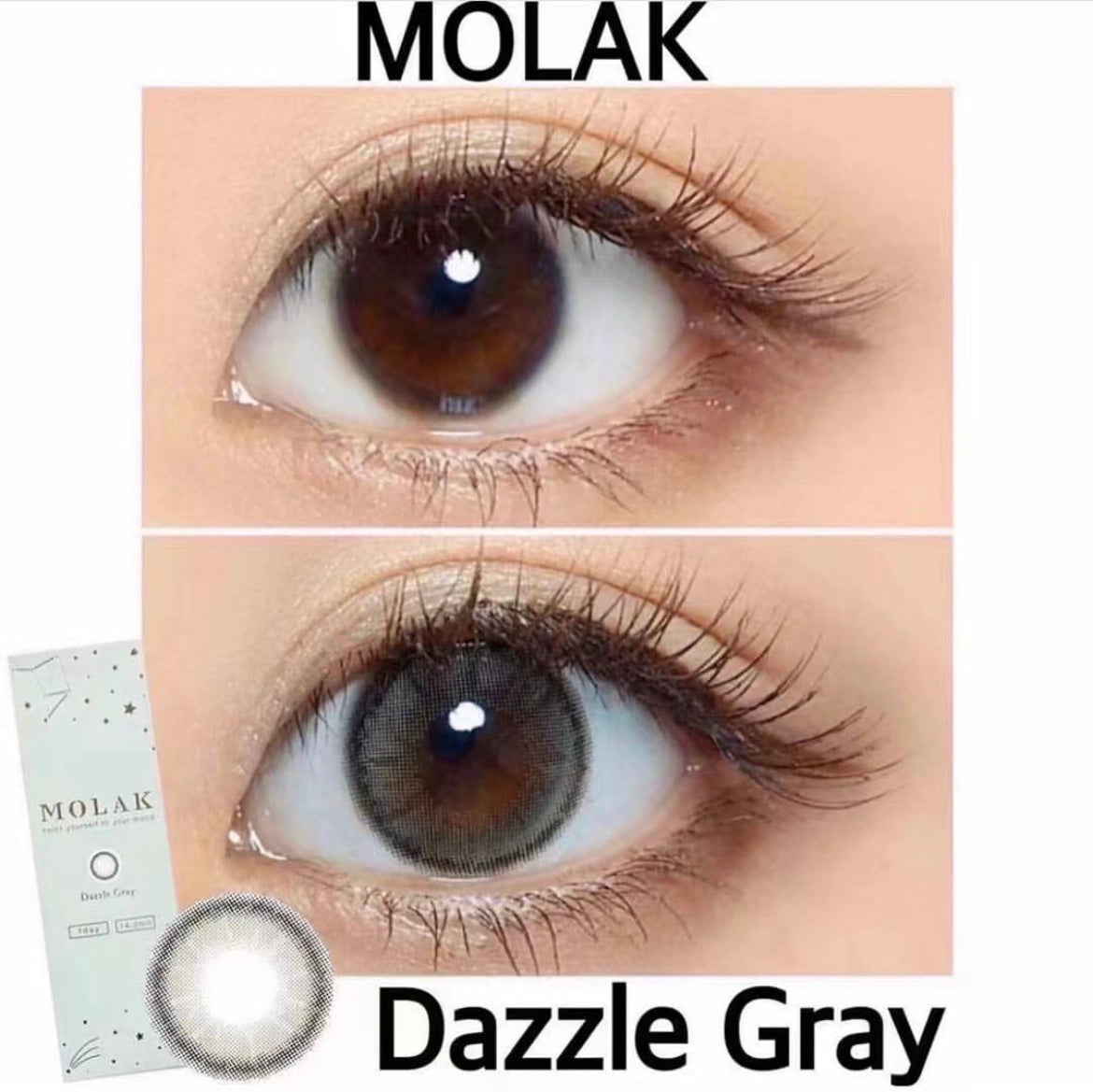 Molak 1 day 日拋 10p Dazzle Gray