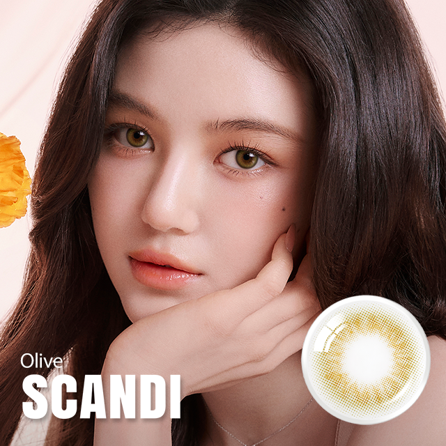 Olens Scandi 1 day 日拋 10p Olive