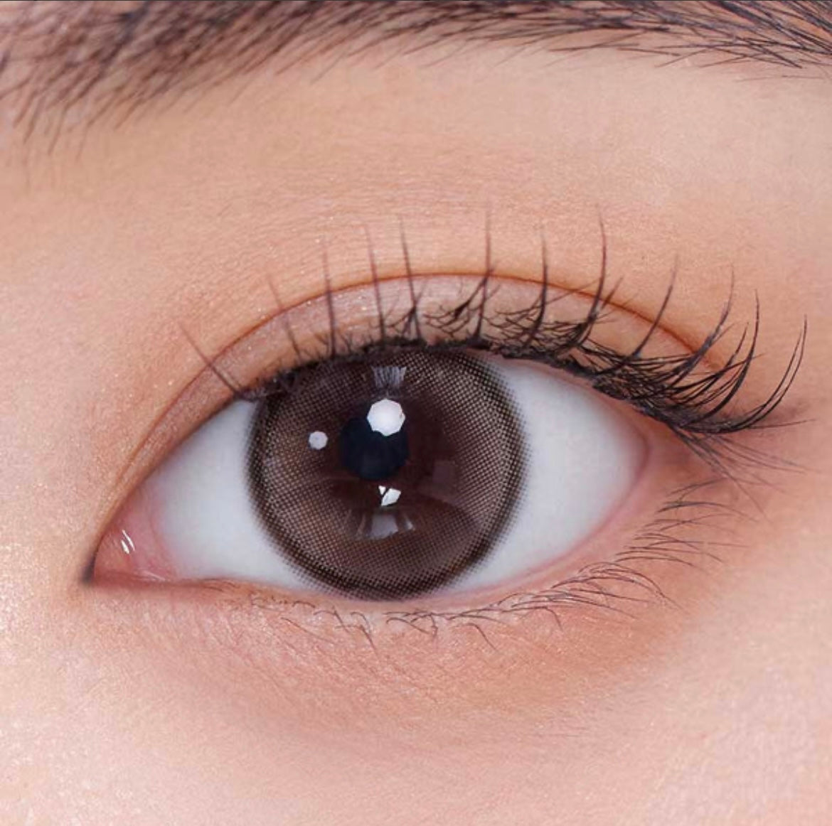 Gemhour demeter 13.5 1 day 日拋 10p ash choco