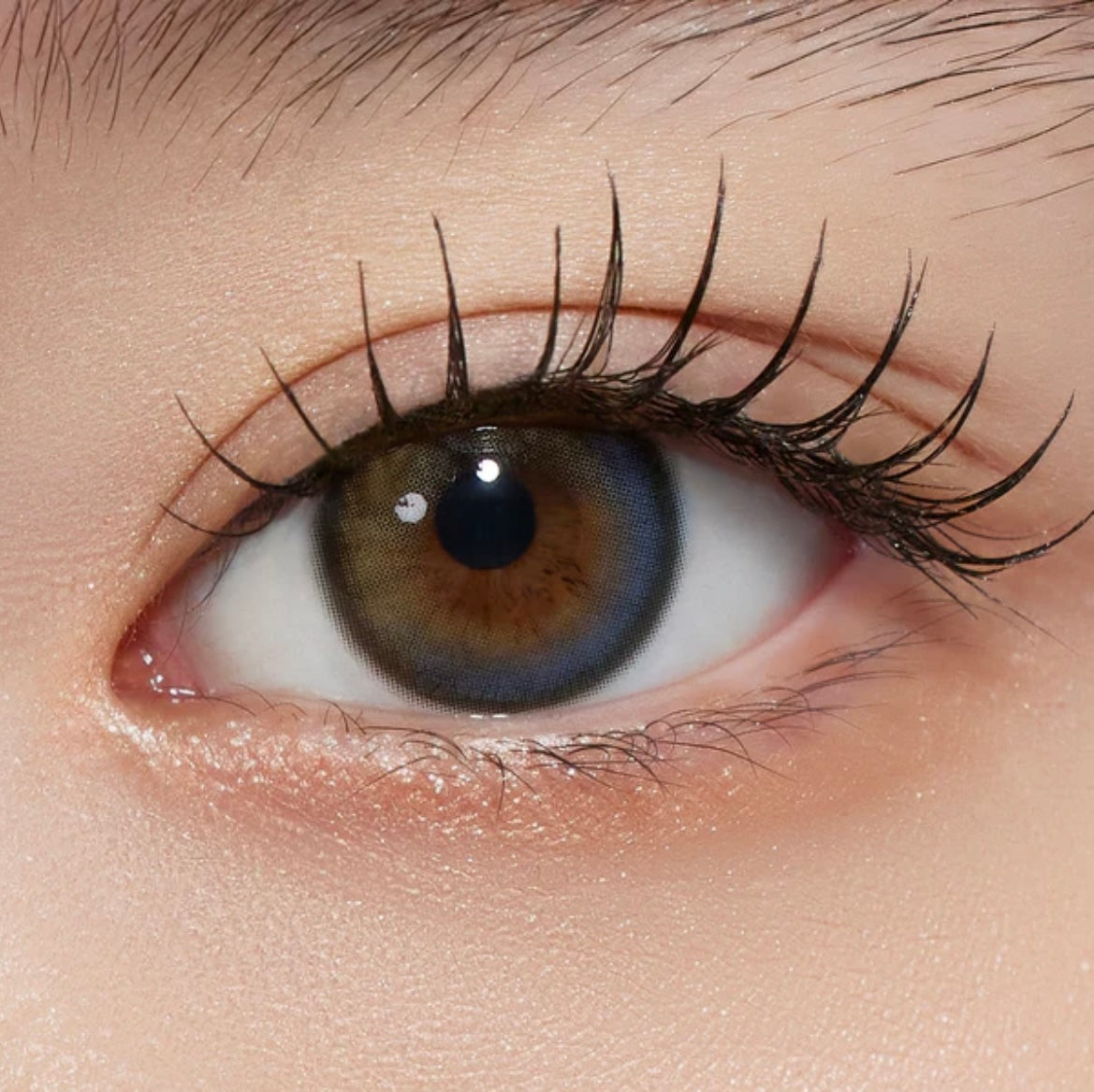 Mimundo Lucir 1 day 日拋 10p Gris Blue