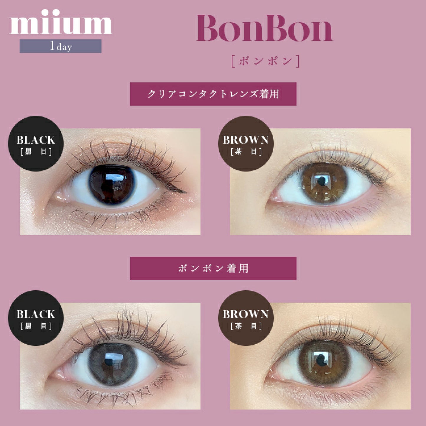 Miium 1 day 日拋 10p BonBon