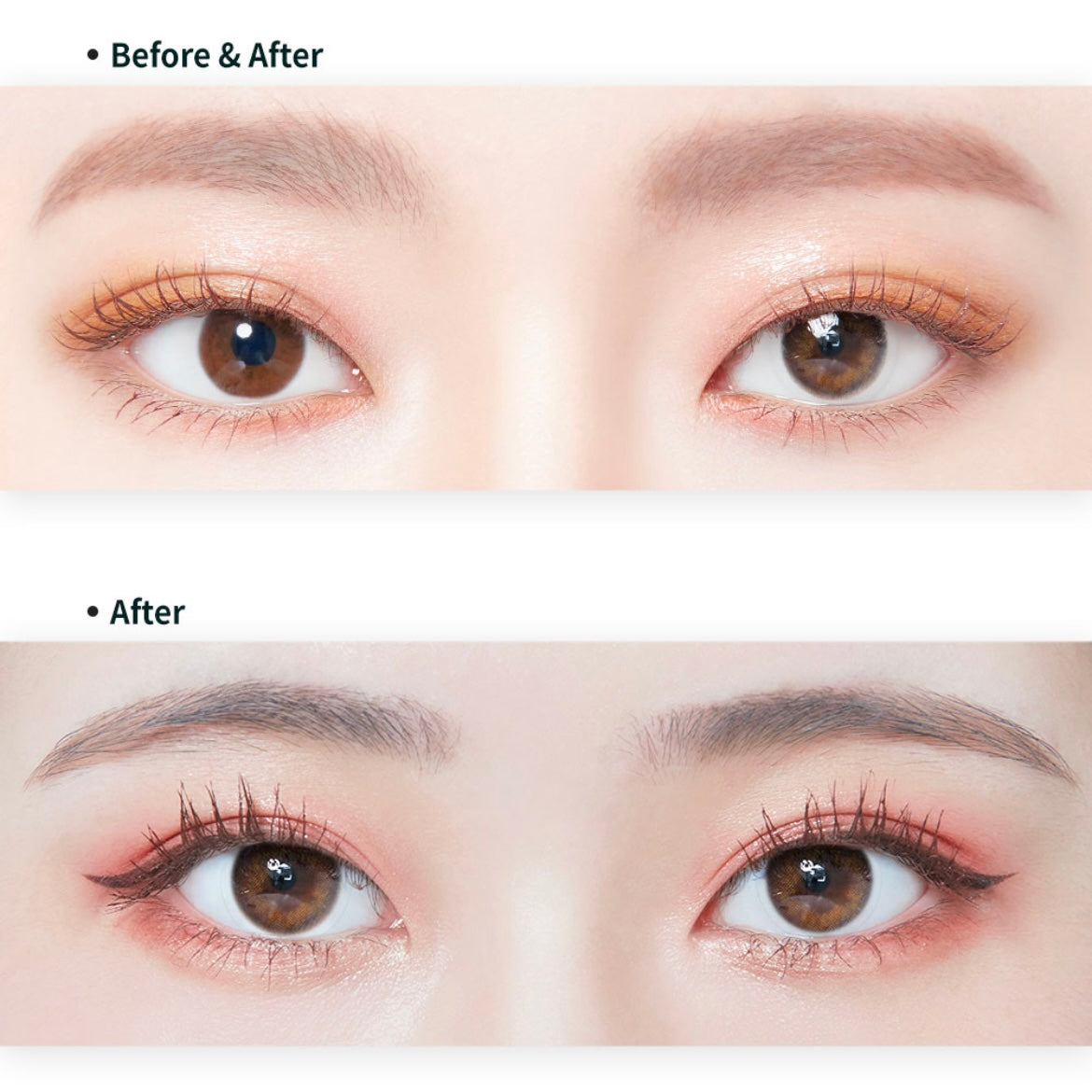 Lenstown 247 With Me 1 day 日拋 10p Brown