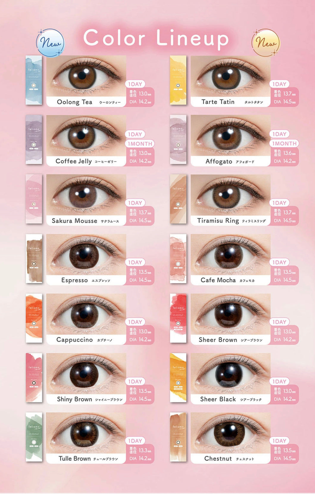 Feliamo 1 day 日拋 10p Oolong Tea