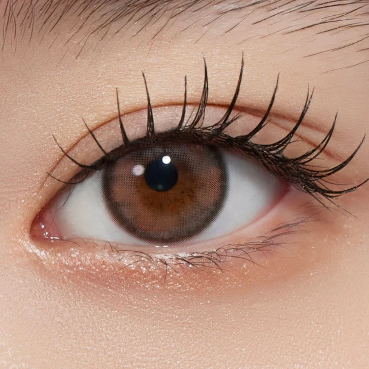 Mimundo Susurro 1 day 日拋 10p Fog Coral