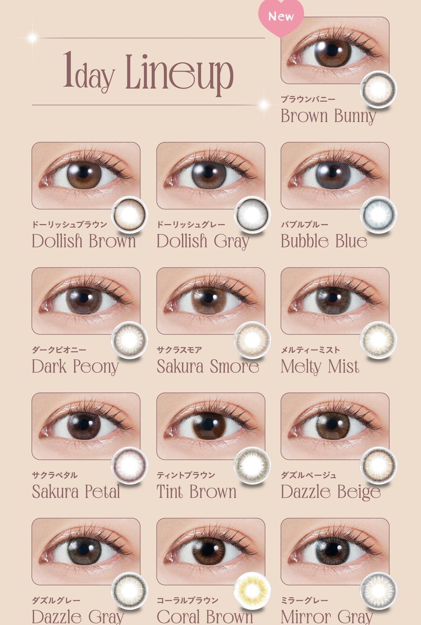 Molak 1 day 日拋 10p Dazzle Beige