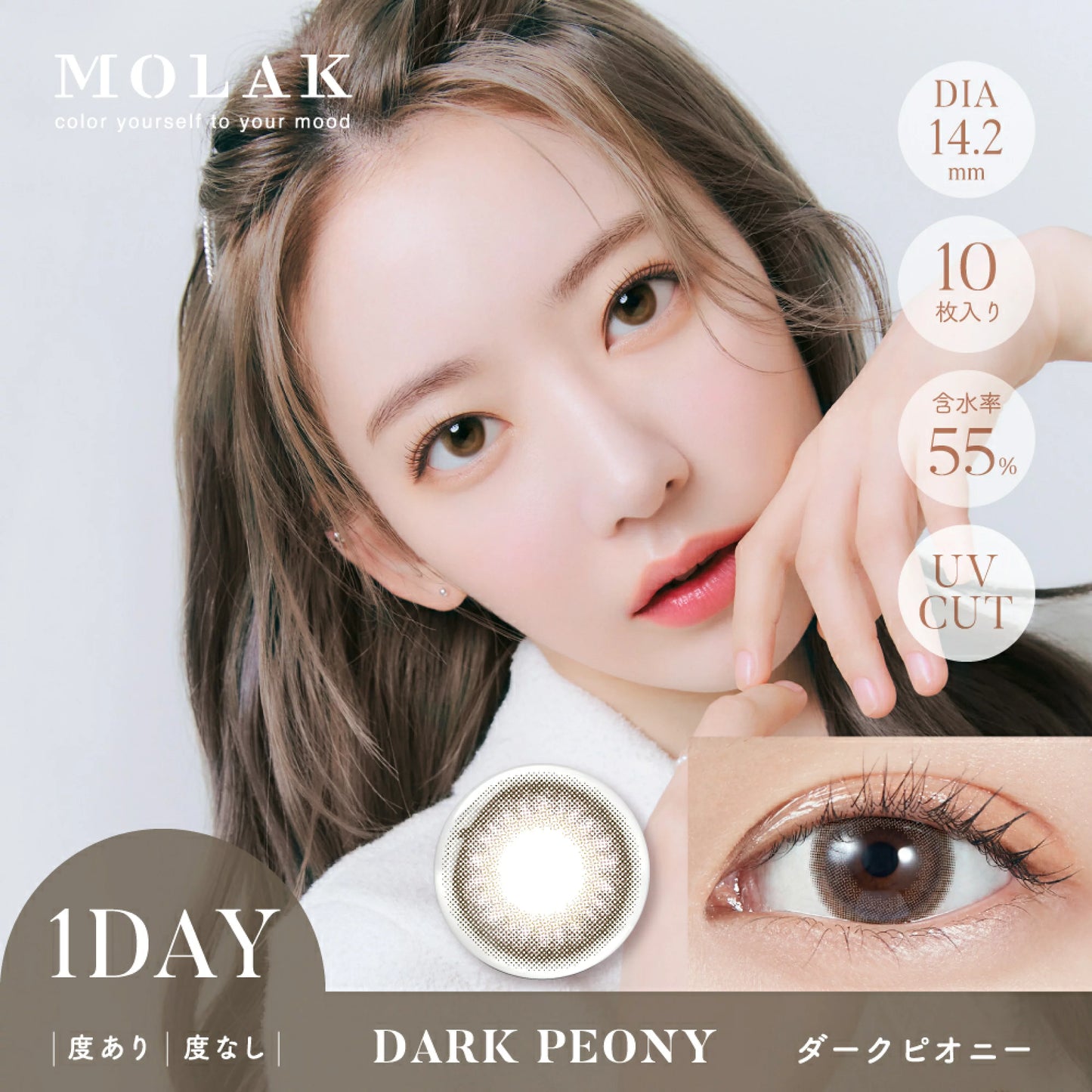 Molak 1 day 日拋 10p Dark Peony