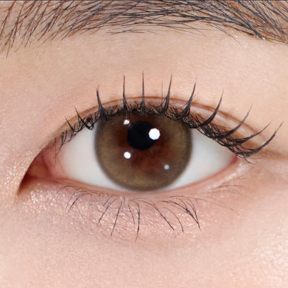 Gemhour demeter 13.5 1 day 日拋 10p ash brown