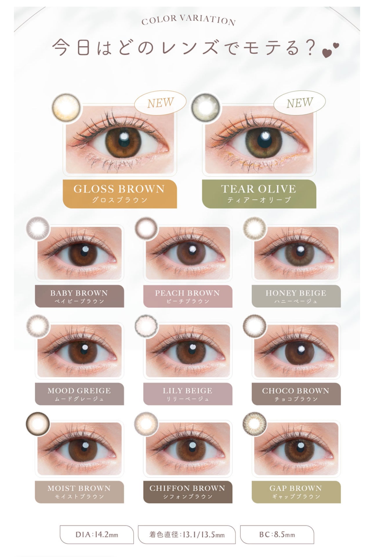 Chus me 1 day 日拋 10p honey beige