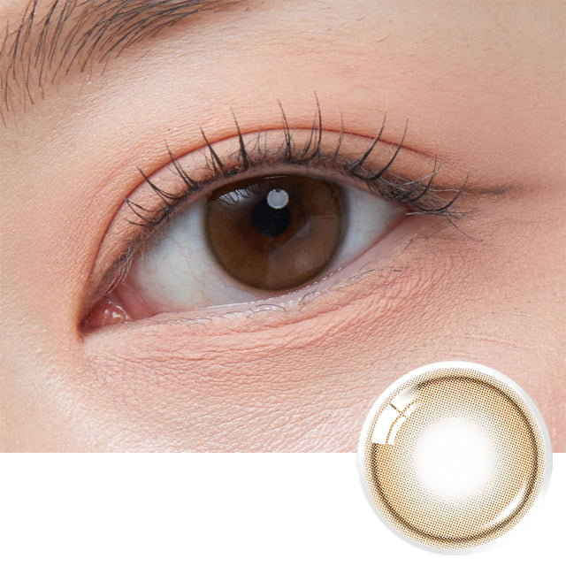 Olens Shine touch 1 day 日拋 20p Milky brown