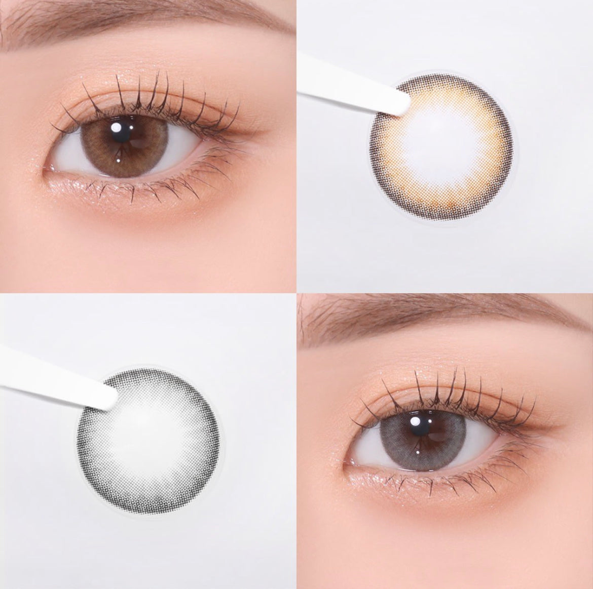 Olens Nils 1 day 日拋 20p Brown