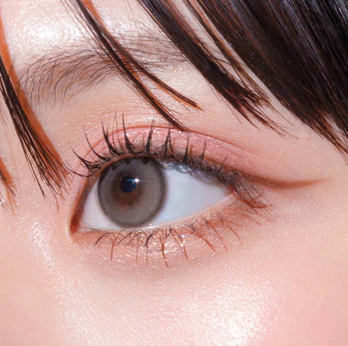 Gemhour hecate 1 day 日拋 10p taupe gray