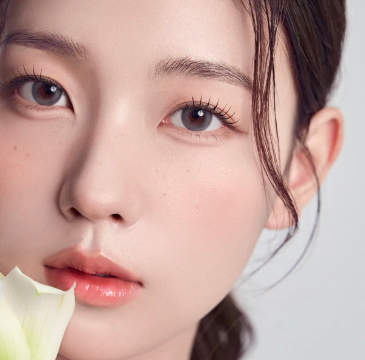 Gemhour daphne 1 day 日拋 10p gray