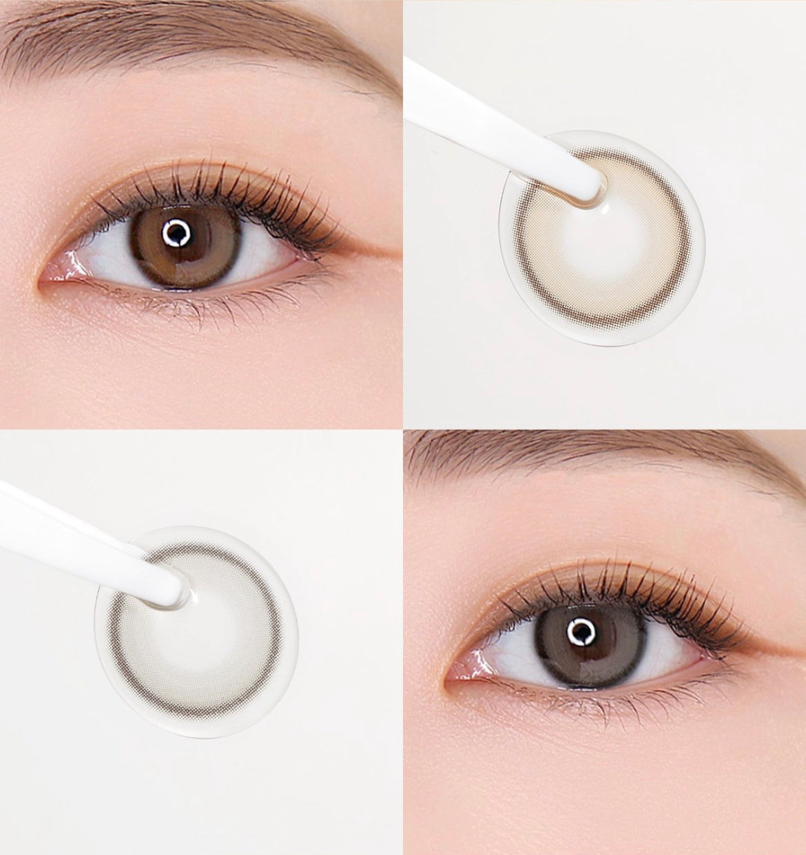 Olens Real Ring 1 day 日拋 20p Gray