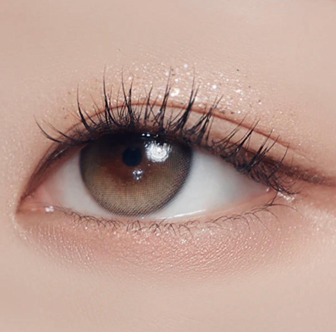 Gemhour demeter 1 day 日拋 10p ash brown