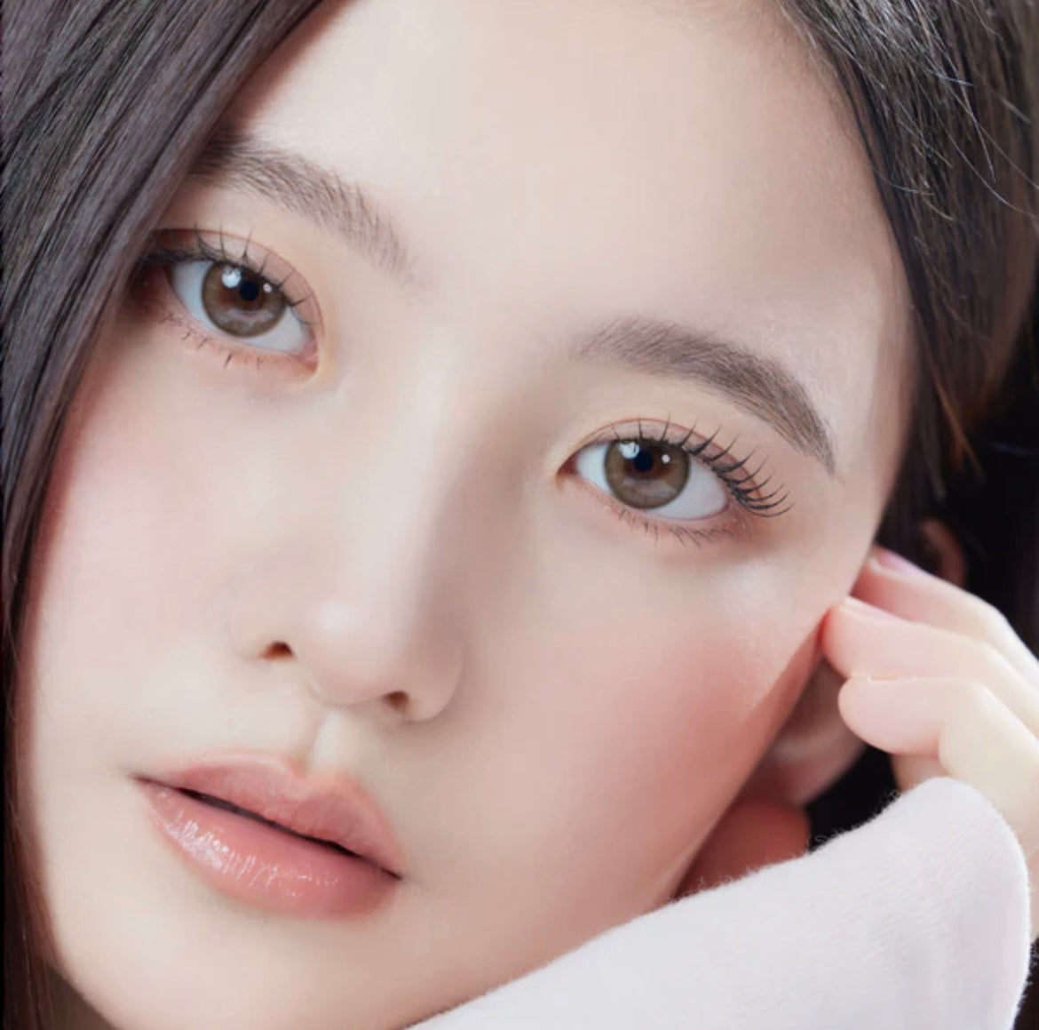 Gemhour thetis 1 day 日拋 10p brown