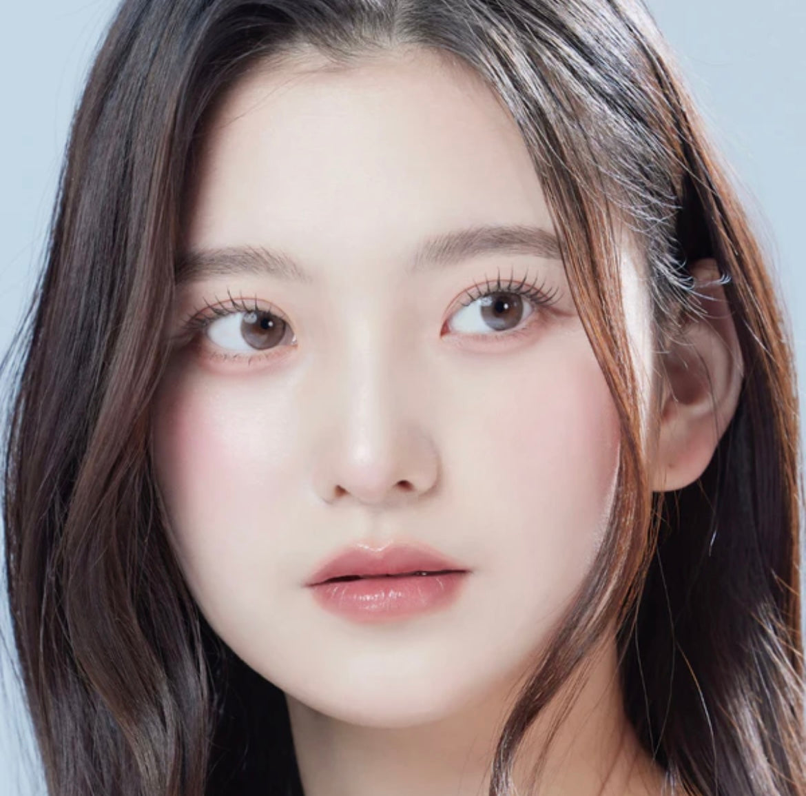 Gemhour thetis 1 day 日拋 10p rosy brown