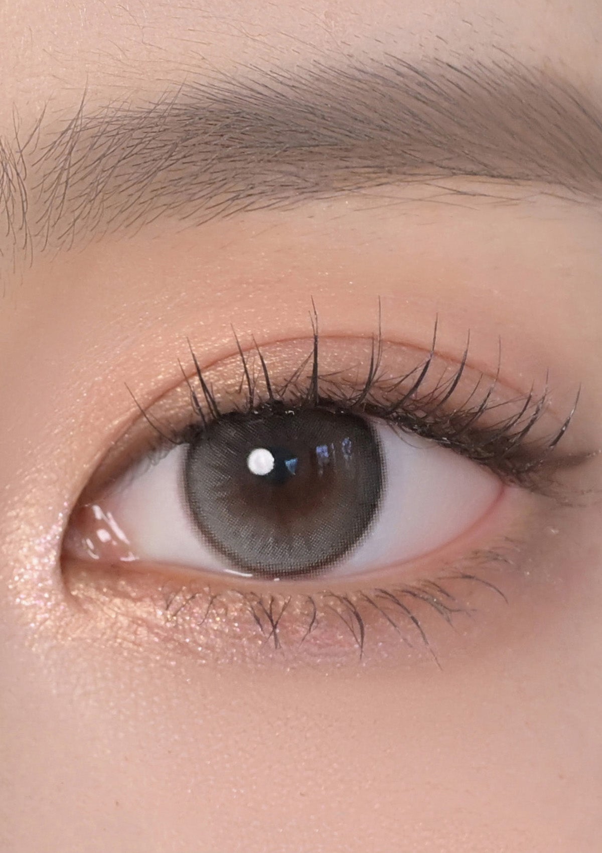 Chuu Daisy Shower 1 day 日拋 10p Pure Gray