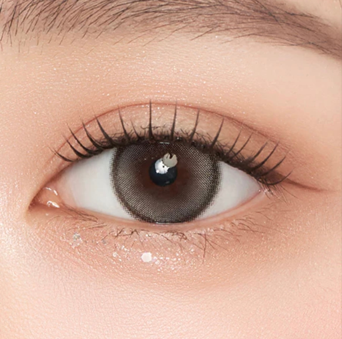 Gemhour demeter 13.5 1 day 日拋 10p pebble gray