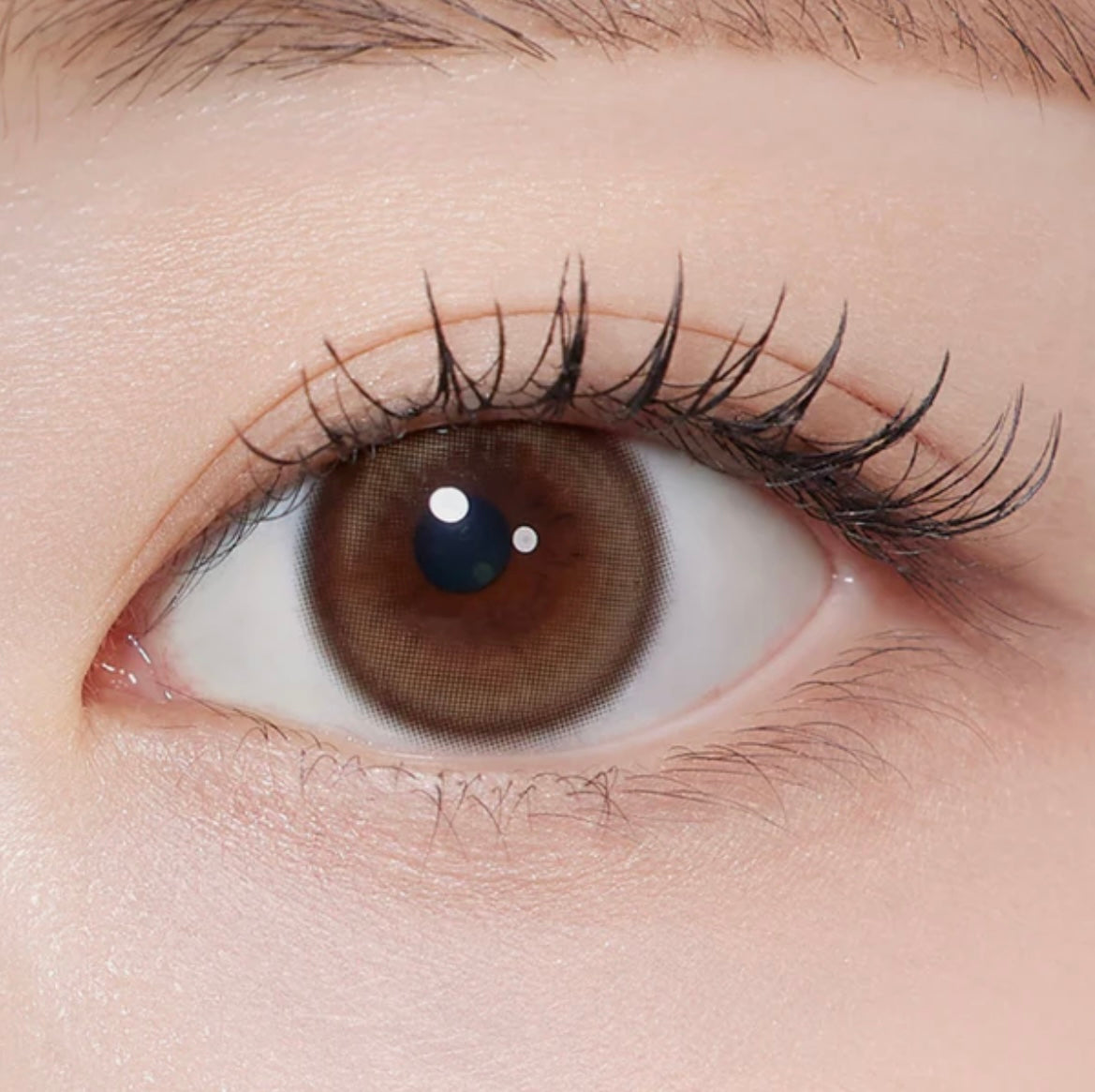 Gemhour Dione 1 day 日拋 10p Soft Brown