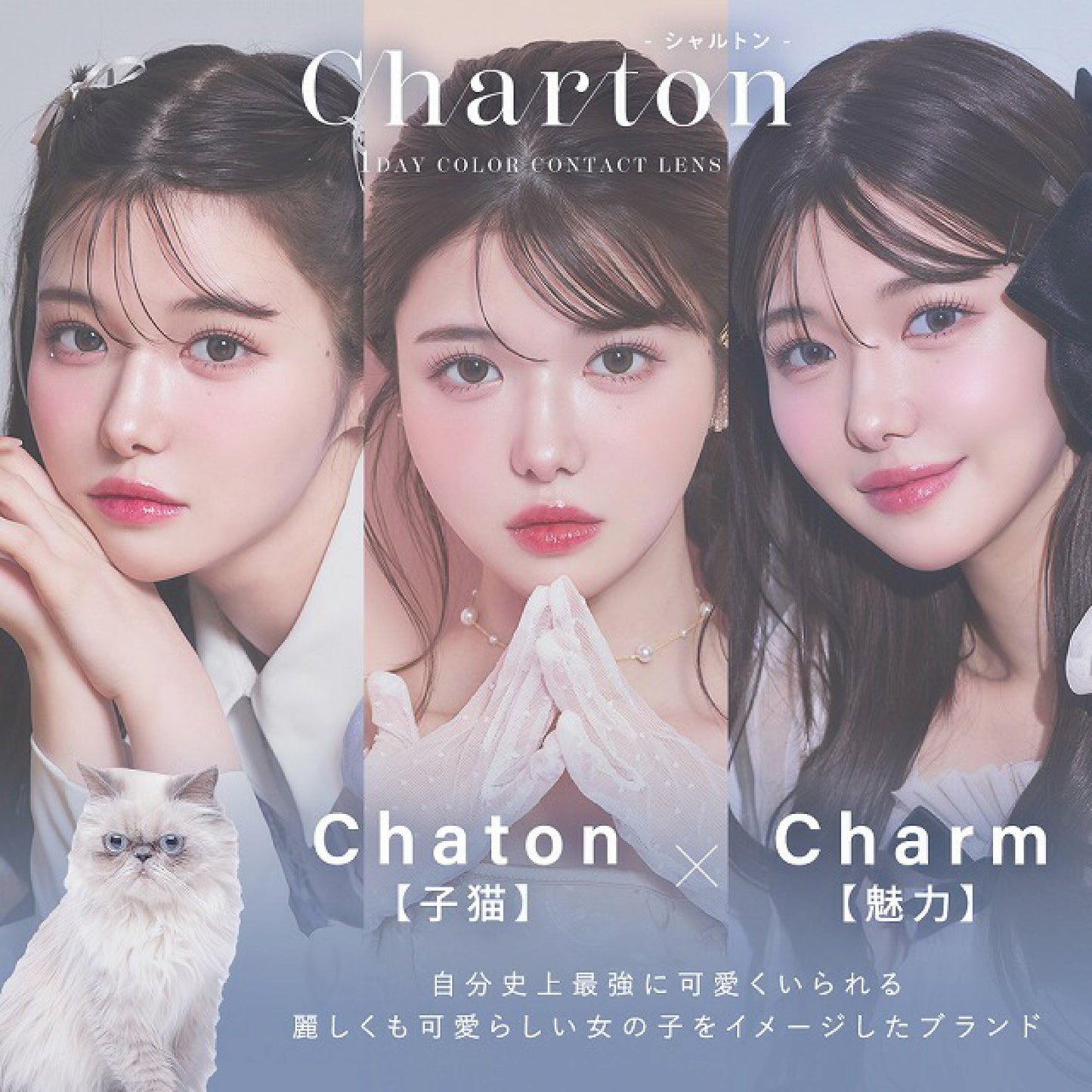 Charton 1 day 日拋 10p bisucuit smore