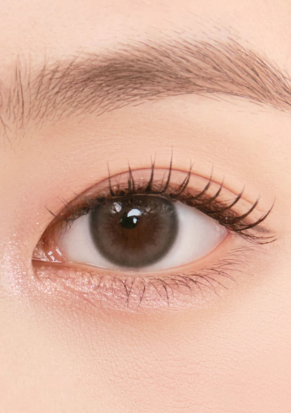 Chuu Pompon Pop 1 day 日拋 10p Bubble gray