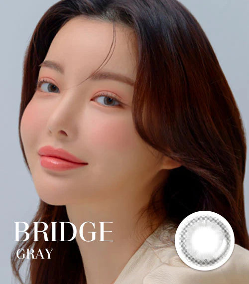 Lensme Torica 散光 1 Month 月拋 2p Bridge Gray