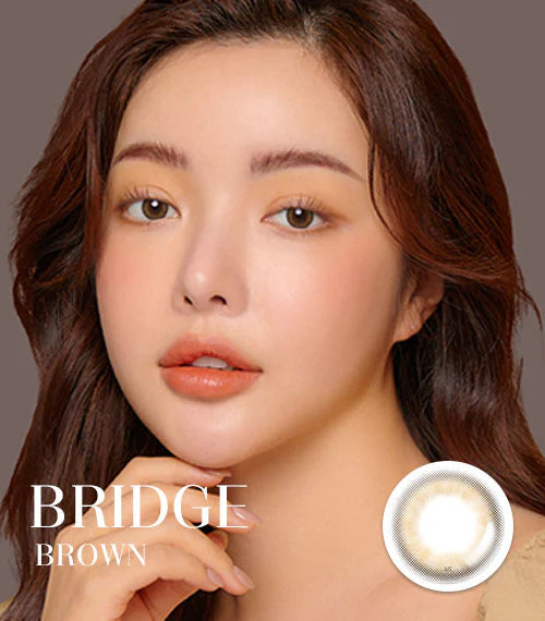 Lensme Torica 散光 1 Month 月拋 2p Bridge Brown