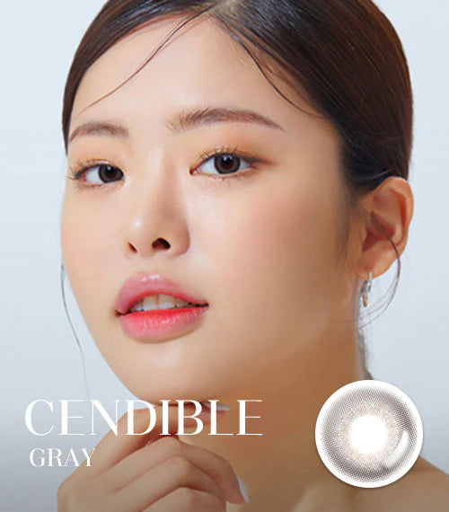 Lensme Torica 散光 1 Month 月拋 2p Cendible Gray