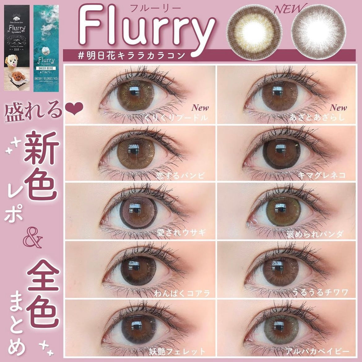 Flurry 1 day 日拋 10p Mocha Dack Brown