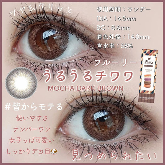 Flurry 1 day 日拋 10p Mocha Dack Brown