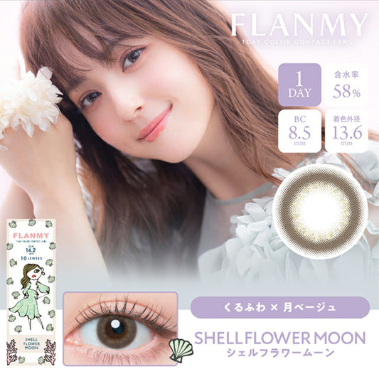 Flanmy 1 day 日拋 10p shell flower moon