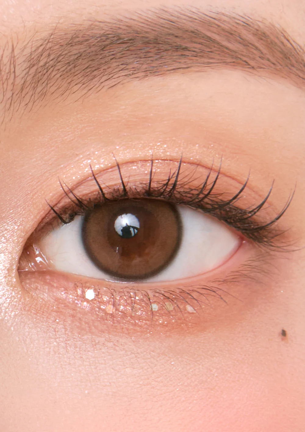 Chuu Aery Rose 1 day 日拋 10p Lucid brown